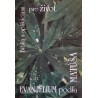 NZ - Biblia s aplikáciami pre život - Ev. podľa Matúša